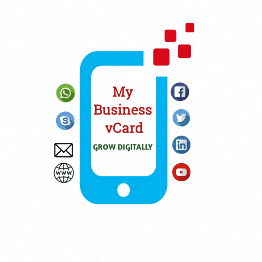 Professional Website Design Combo logo design