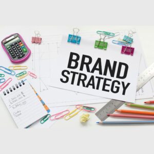 Professional Website Design Combo 4